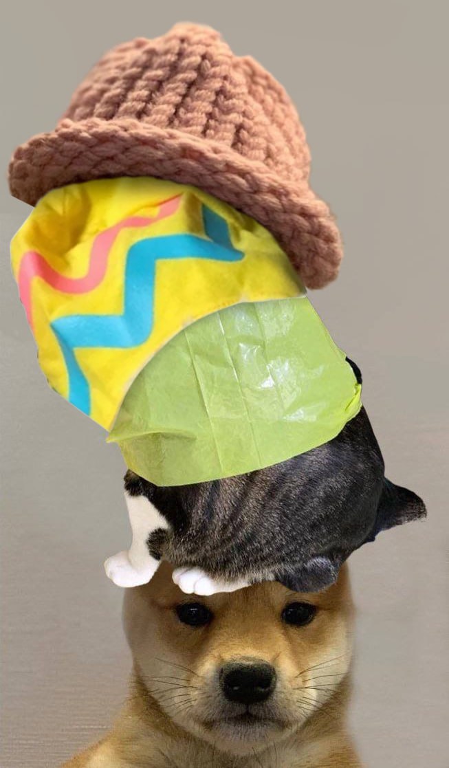 Dogwifdrip tweet media