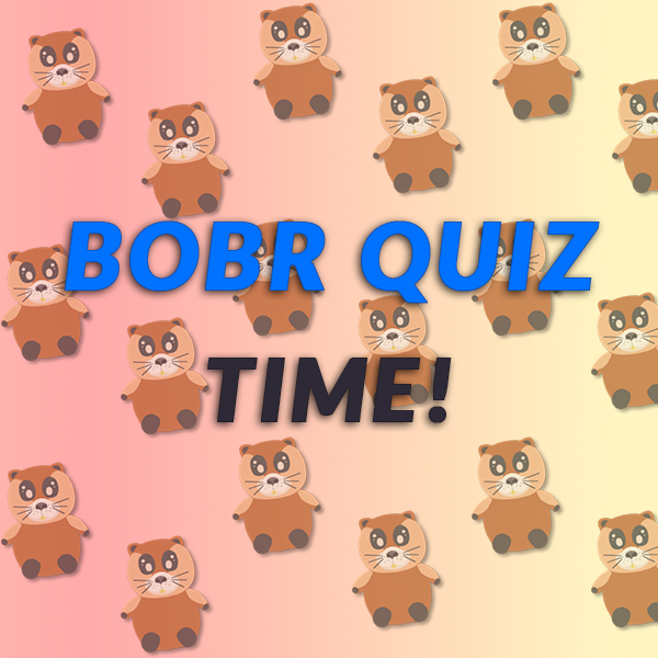 bobr_bells's tweet photo. How Well Do You Know Bobr? 🦦✨
Let’s test your knowledge! 
Q1: What’s Bobr’s favorite hobby during free time?
A) Building dams
B) Gaming
C) Smoking woods

Q2: What’s Bobr’s all-time favorite game?
A) Animal Crossing
B) Axie Infinity
C) Coin Collector Simulator https://t.co/pKiJzNcGXa