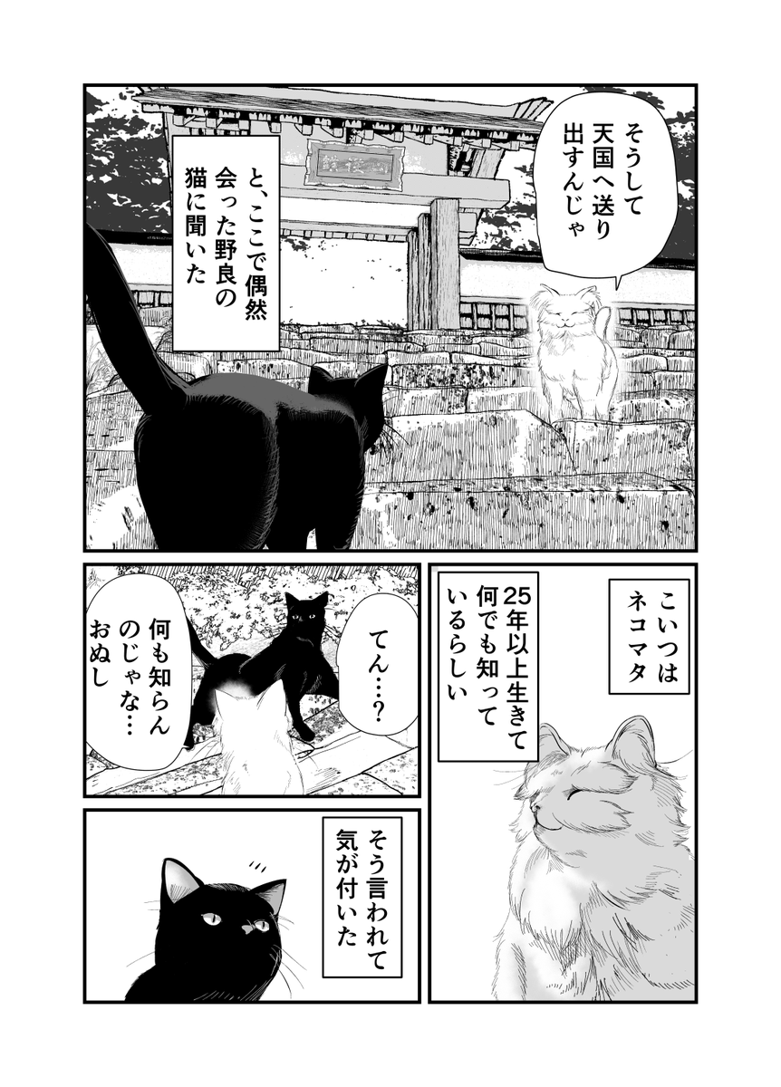 (3/14) 