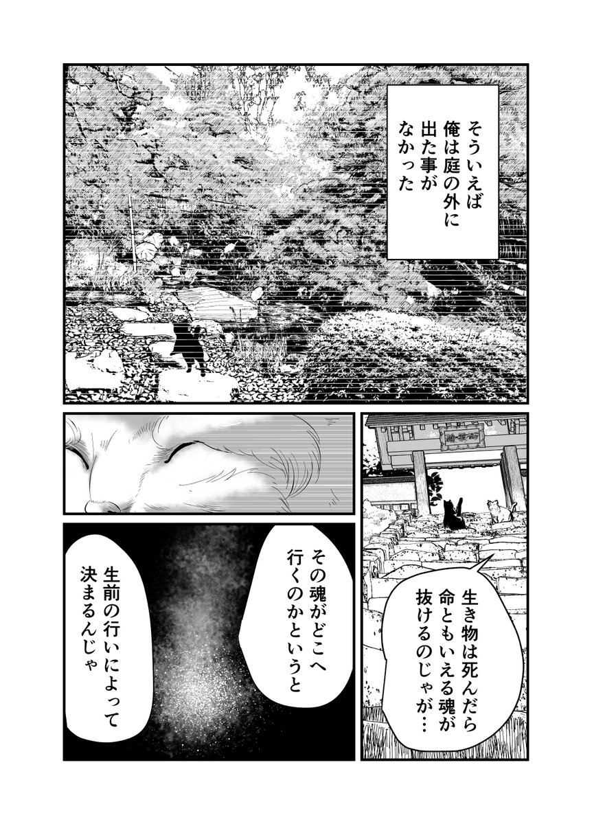 (3/14) 
