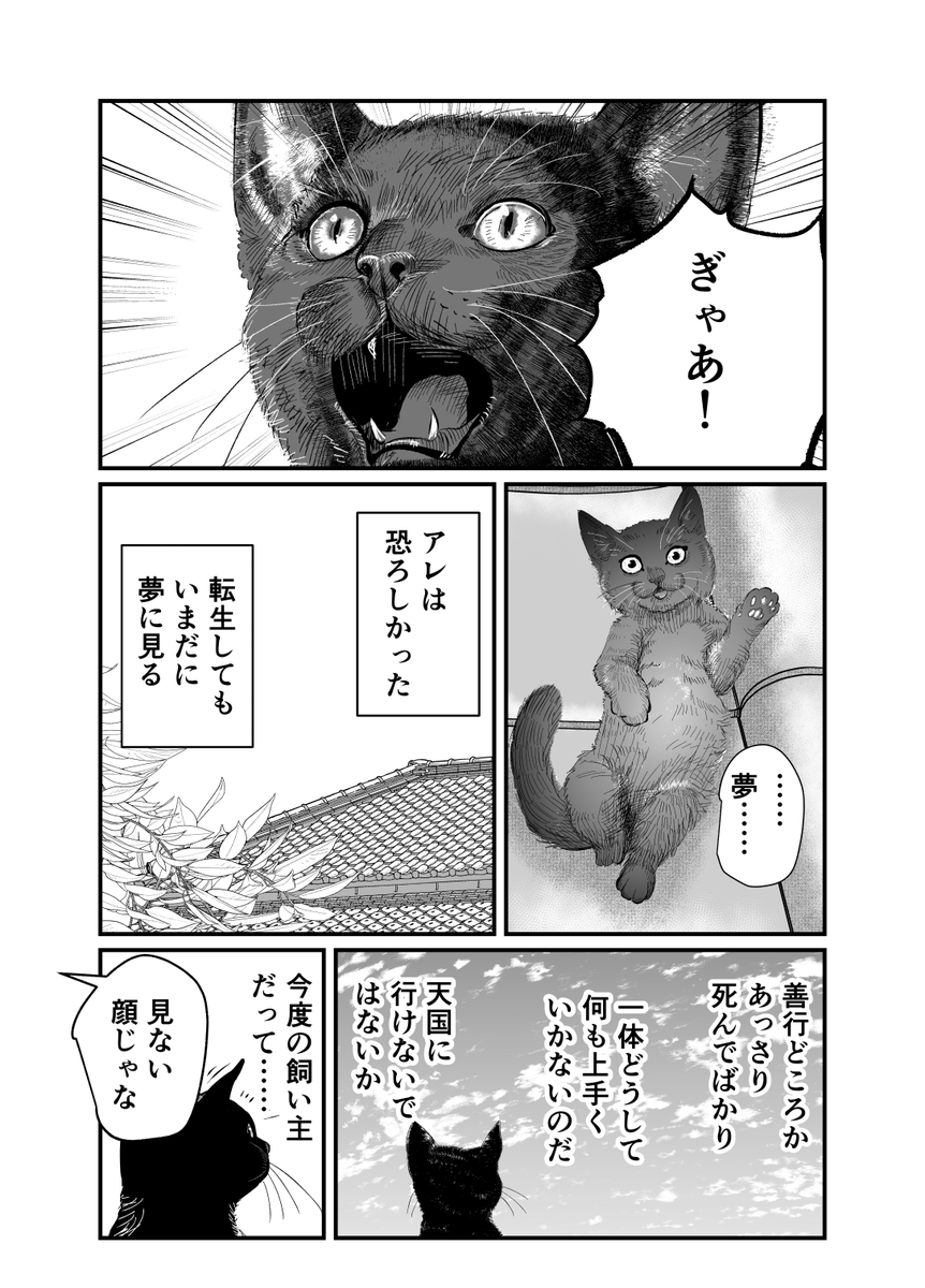 (6/14) 