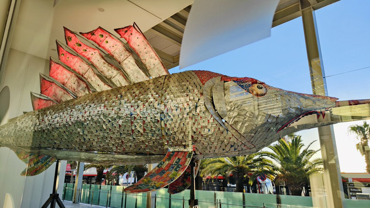 🌊 The time has come for the second edition of our Annual Management #Meeting!

OCEAN CITIZEN partners gather in #Barcelona for two days of engaging presentations and in-depth discussions on the project's progress and the next steps ahead.