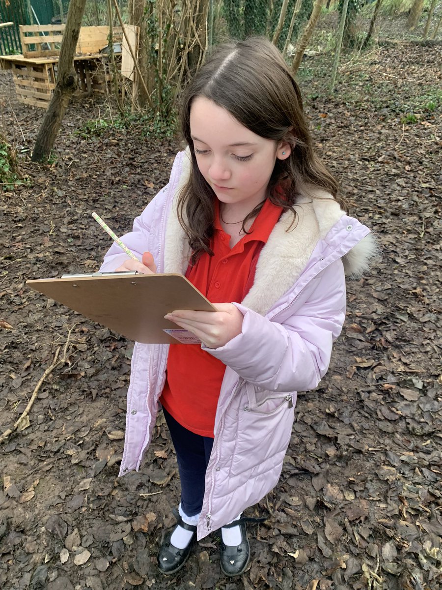 Batheaston Primary tweet media