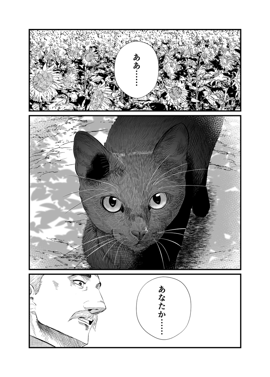 (13/14) 