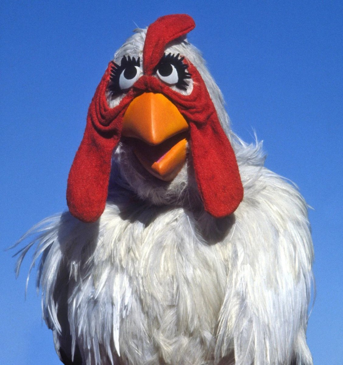 CAMILLA: Bawk-baw, ba-bawk-baw.
(Translation: Gonzo... You don't have to pretend anymore. I know what you really want.)

#TheMuppets70 #Muppets70Mondays