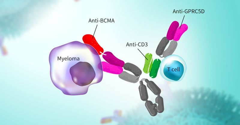 Genomeditech's tweet image. #GPRC5D AbbVie pens $1B deal for Simcere’s phase 1 T-cell engager. The candidate, SIM0500, is a humanized trispecific antibody that targets GPRC5D, BCMA, and CD3.Learn about our catalog: en.genomeditech.com