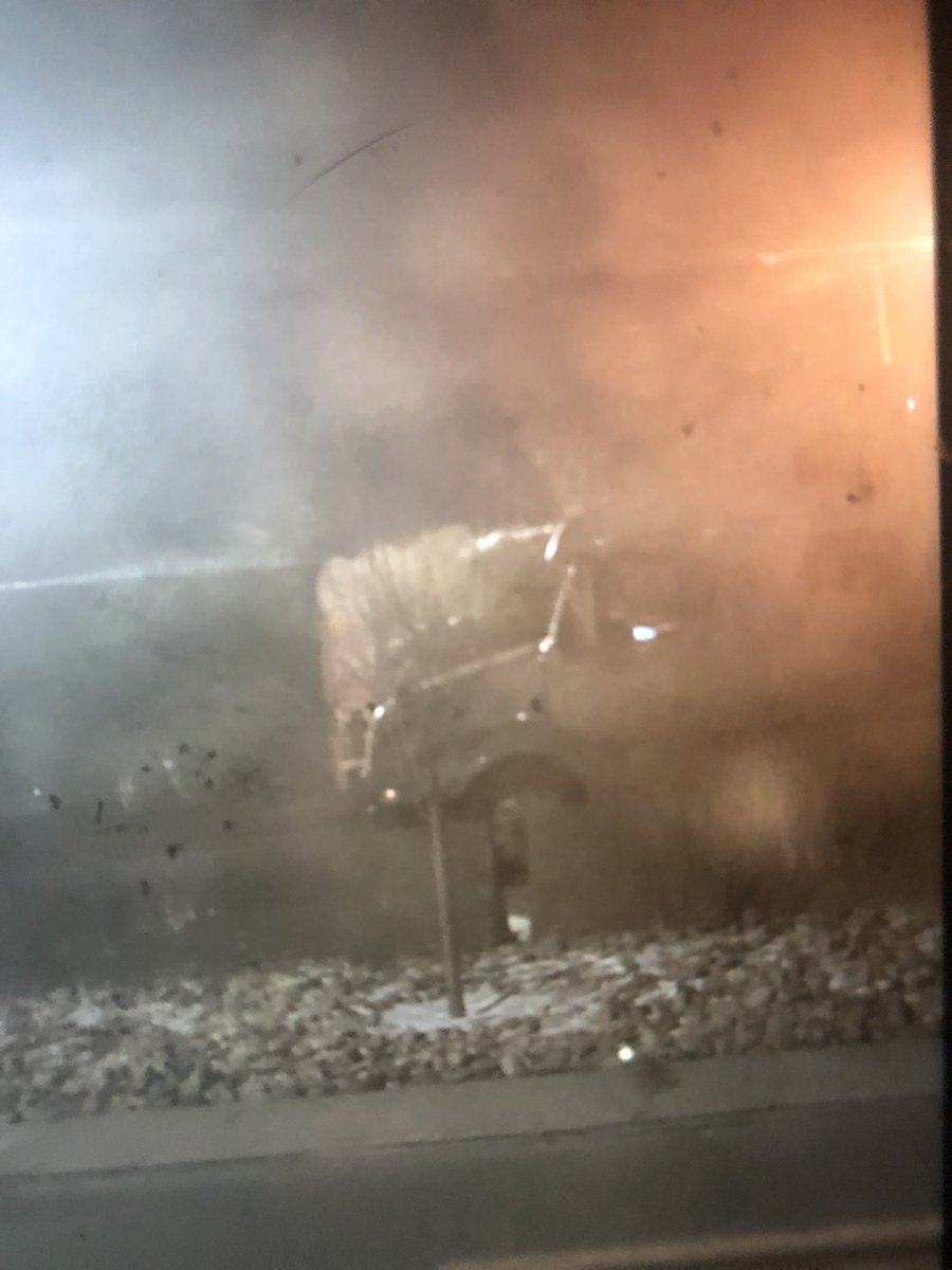 cutedolphin tweet media