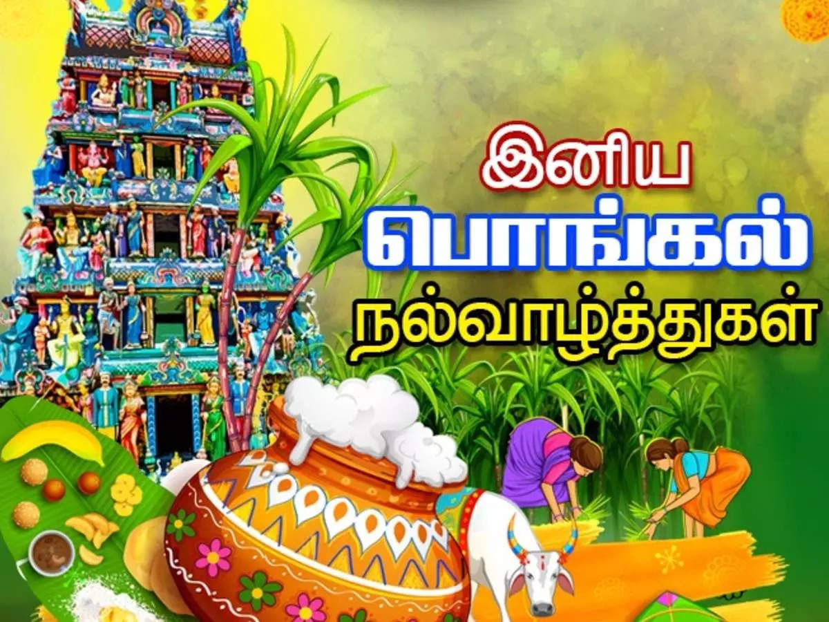 senthil64096870's tweet photo. இனிய பொங்கல் நல்வாழ்த்துக்கள் https://t.co/AeMoZOQiRp