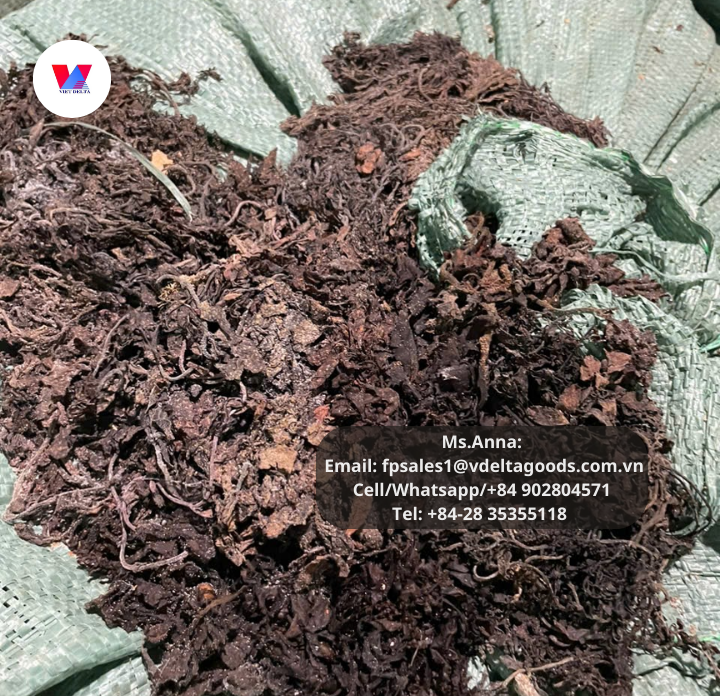 1Export1's tweet photo. 𝐃𝐫𝐢𝐞𝐝 𝐒𝐚𝐫𝐠𝐚𝐬𝐬𝐮𝐦 𝐒𝐞𝐚𝐰𝐞𝐞𝐝 𝐟𝐫𝐨𝐦 𝐕𝐢𝐞𝐭 𝐍𝐚𝐦 🇻🇳
............................................................................
CONTACT US:
📍Ms. Anna
💌Email: fpsales1@vdeltagoods.com.vn
☎️Cell/Whatsapp/+84 902804571
����Tel: +84-28 35355118 https://t.co/PxIBGmNCGf