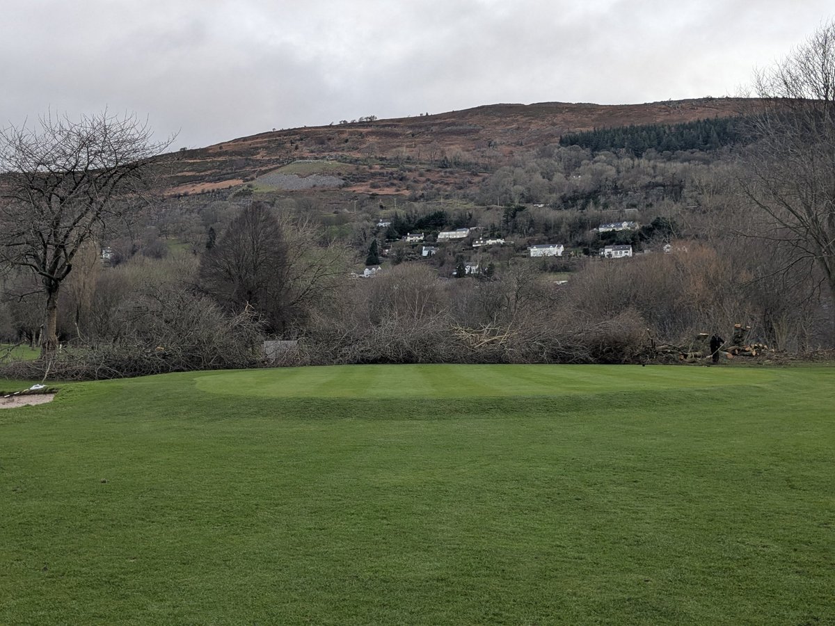 VLGC Greens tweet media