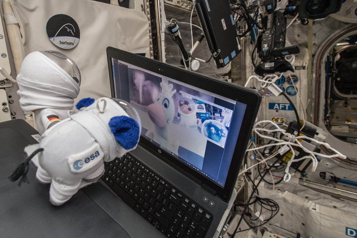 Astro_Alex's tweet photo. Ein riesen-Tröööööt zum 50. Geburtstag, lieber #Elefant!🐘🎉 Deine Abenteuerlust und dein großes Elefantenherz inspirieren uns alle. Als #Maustronaut hast du mit mir gemeinsam bereits die Internationale Weltraumstation erkundet – und wer weiß, vielleicht heben wir bald wieder ab. Dein Raumanzug wartet in jedem Fall auf dich! https://t.co/5tnTIU2C4I