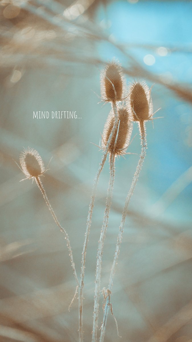 Mario Poje tweet media