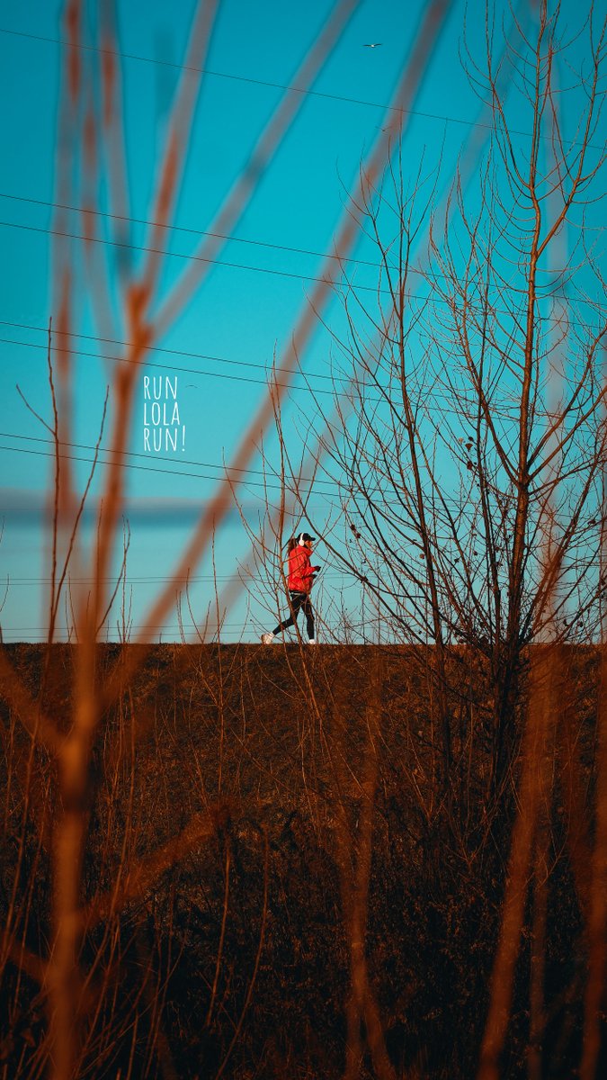 Mario Poje tweet media