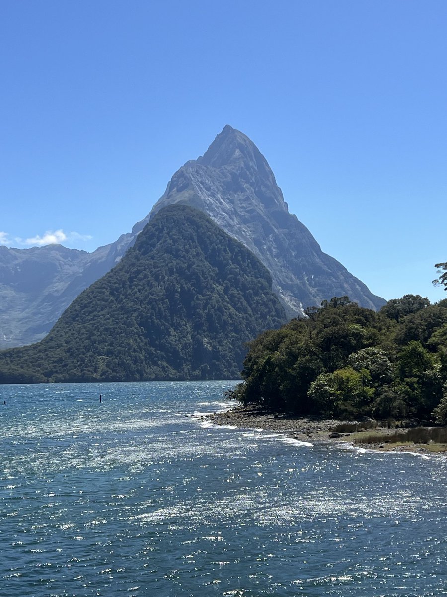 michael partington tweet media