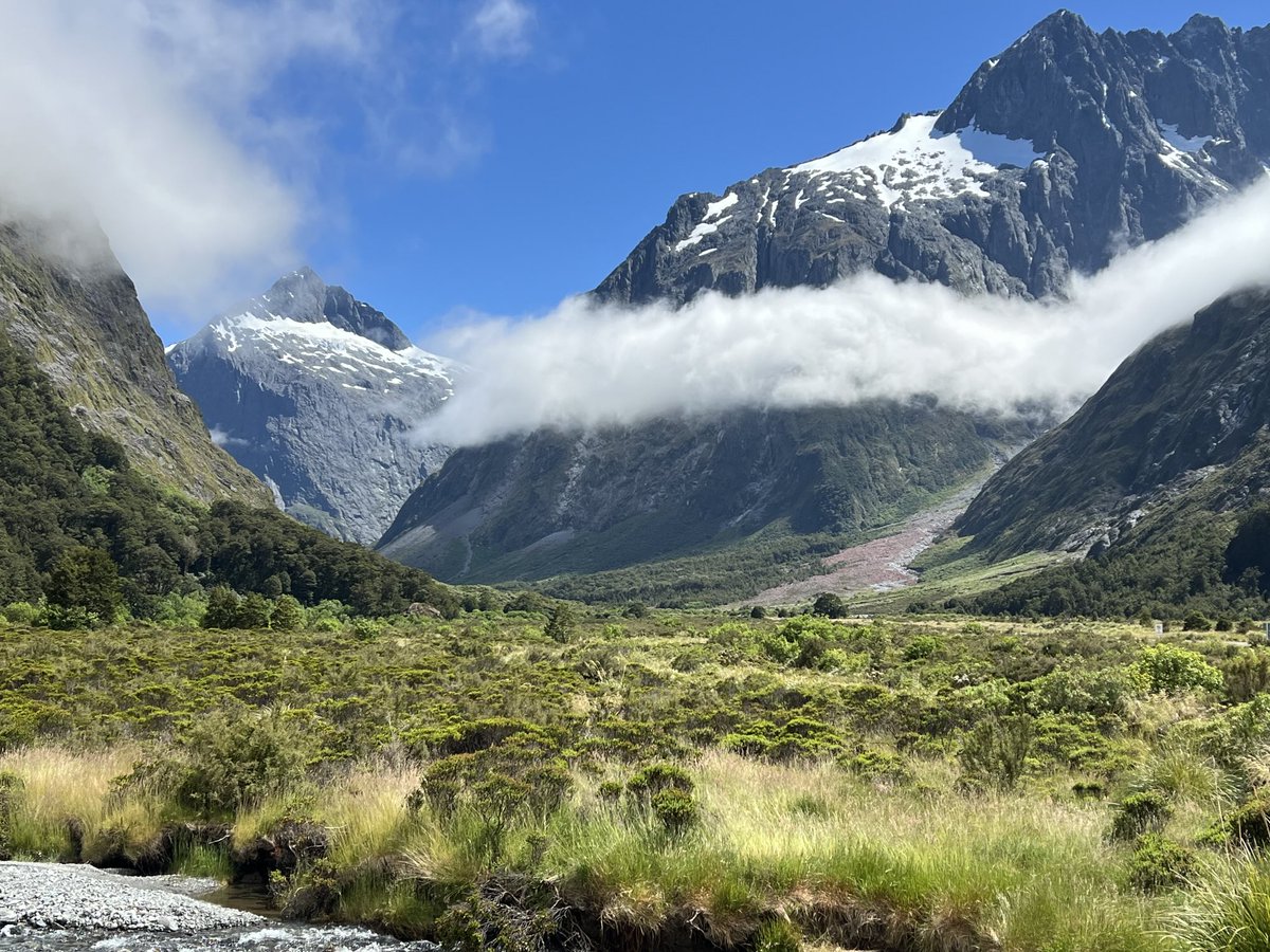 michael partington tweet media