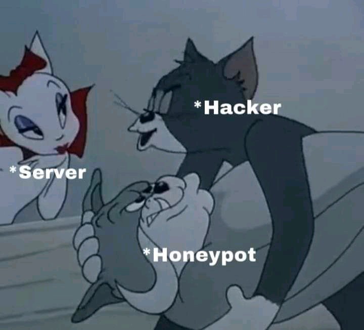 HackenProof (@hackenproof) on Twitter photo 