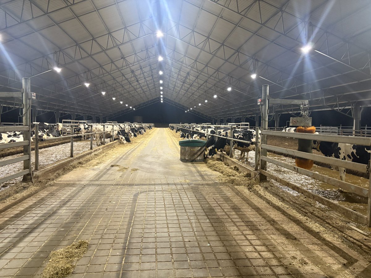 The girls and the robots just doing their thing