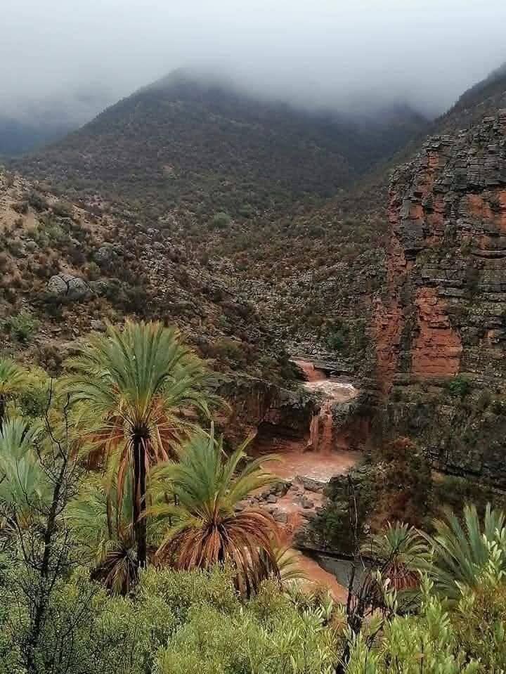 Mustapha69ma's tweet photo. #ouarzazate 🇲🇦😇😍
#Follow_up 🙏 https://t.co/jDbQeYEcgr
