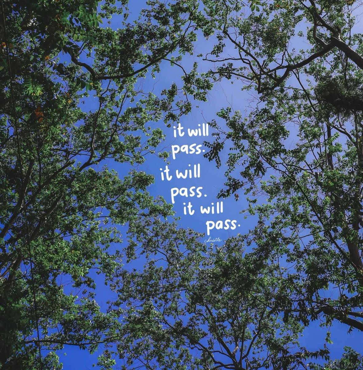 🍂 (@lovandfear) on Twitter photo 