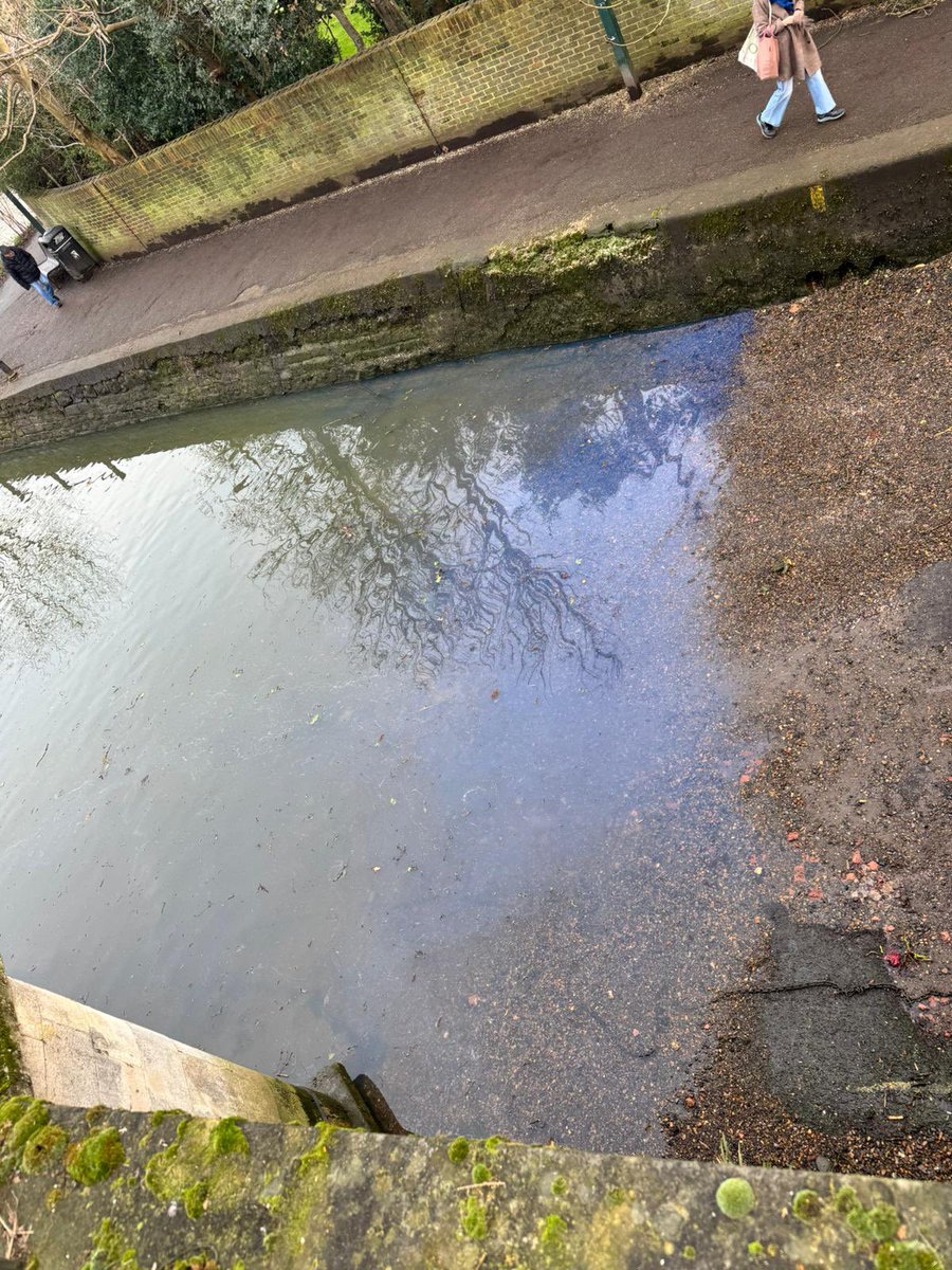 annie rushton tweet media