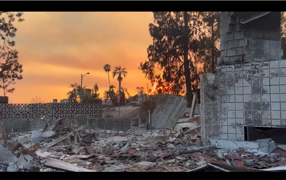 moatybuns's tweet image. 🚨🐰 Ok bunny lovers, share this far &amp;amp; wide! 🐰🚨

Zooh Corner, a sanctuary for elderly &amp;amp; special needs rabbits, was burnt to the ground in the #EatonFire in Los Angeles. They got all the rabbits out, but have lost absolutely everything else 💔

See next tweets on how to help: