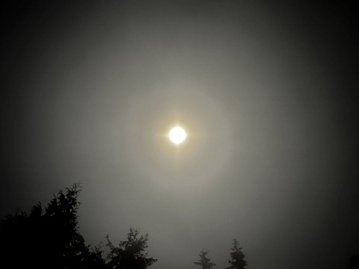 Wolf moon as seen through fog at midnight. (Editors note: there were no wolves)