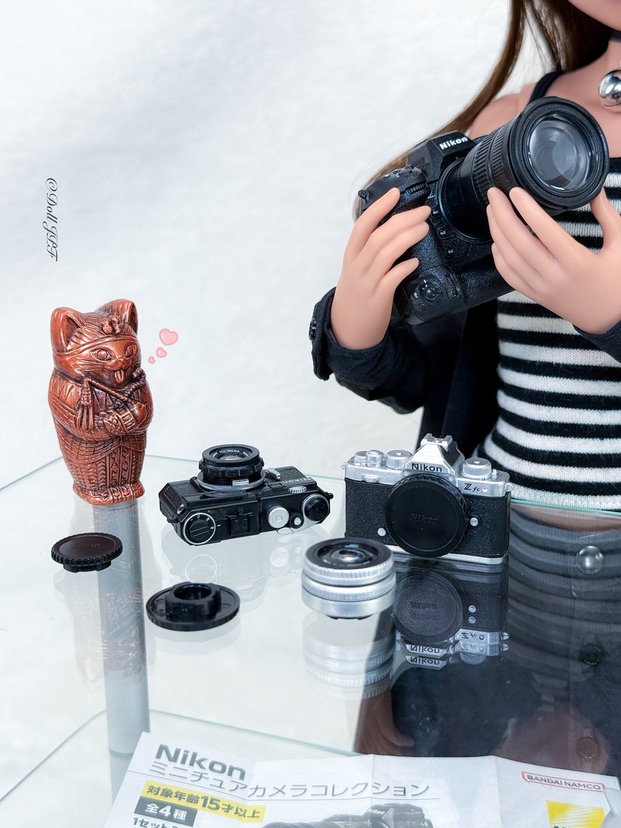 AndroidPDF's tweet photo. 芽ちゃん: 新しいカメラ達にゃ💕 ヾ(Φ∀Φ)ฅ
Mei-chan: New SLR camera arrived meow 💕 ヾ(Φ∀Φ)ฅ
#camera #slrcamera #nikon #marukohalu #saimecs #smartdoll #smartdollprowess #smartdoll芽 #smartdollprowesstea #catgirl #dolljpf https://t.co/MSh6iX3oFL
