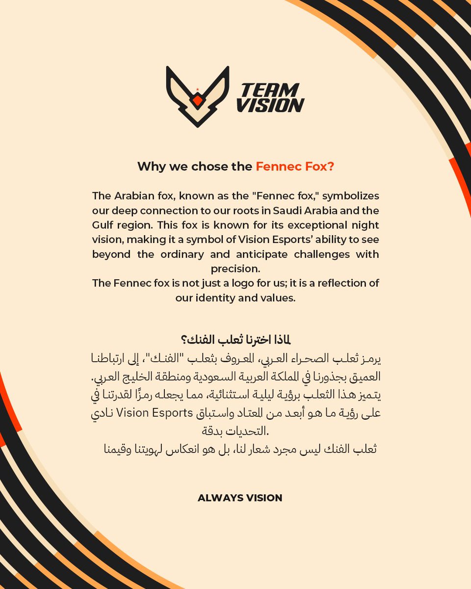 Team Vision tweet media