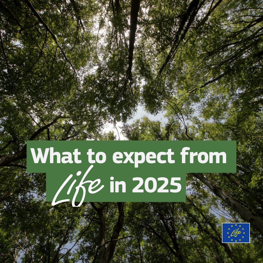 LIFEProgramme's tweet photo. What's coming up for LIFE in 2025? 💚

The #LIFEProgramme turns 33, supporting a greener Europe! 🌍 

Don't miss out on the #EULife25 calls , #LIFEAwards25 🏆, #EUCovenantAward🌟, #EUSEW2025🌱 &amp; more!

Learn more: https://t.co/ZMUUjTiSl9 https://t.co/5vpHepgEmE