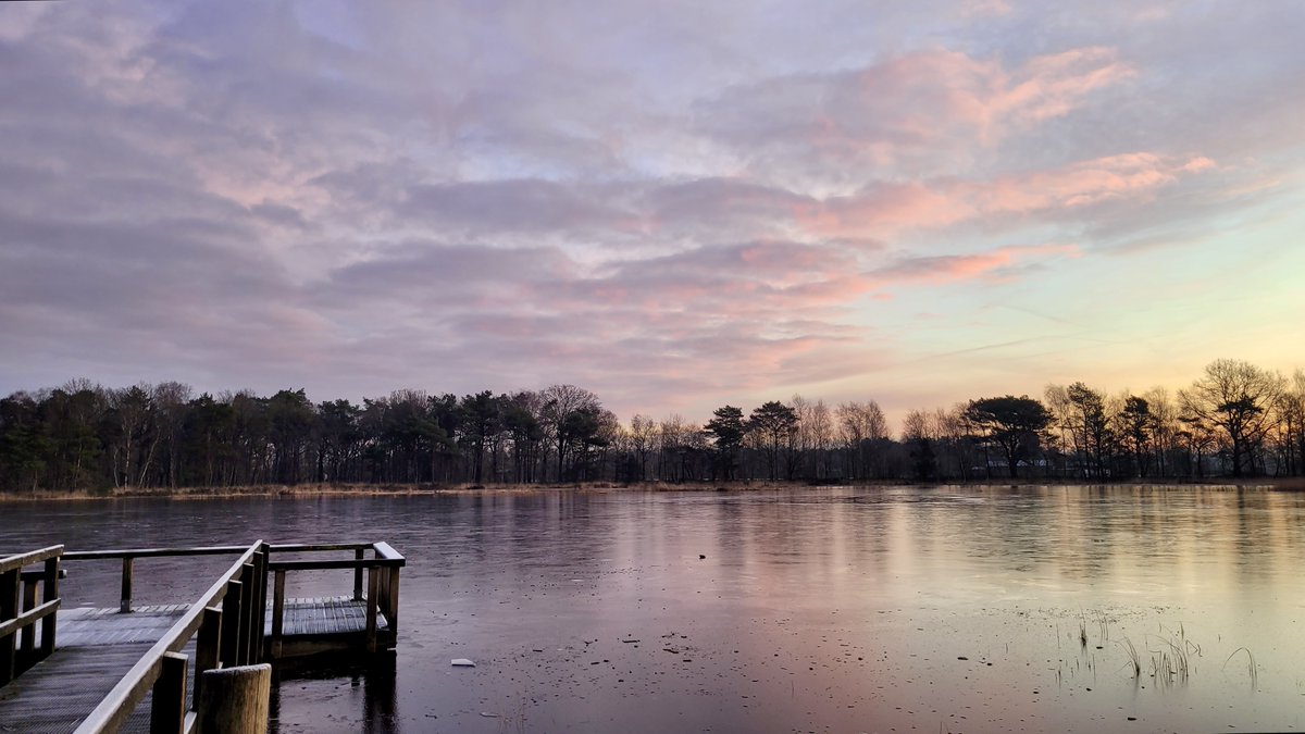 TaxFrancien's tweet photo. Mooie zonsopkomst in Roosendaal @Weerplaza @weeronline  @BuienRadarNL @HartvNL @weermanrobert @_weernl @Het_weer_NL @omroepbrabant @WNLVandaag https://t.co/zLYyTkBVeu