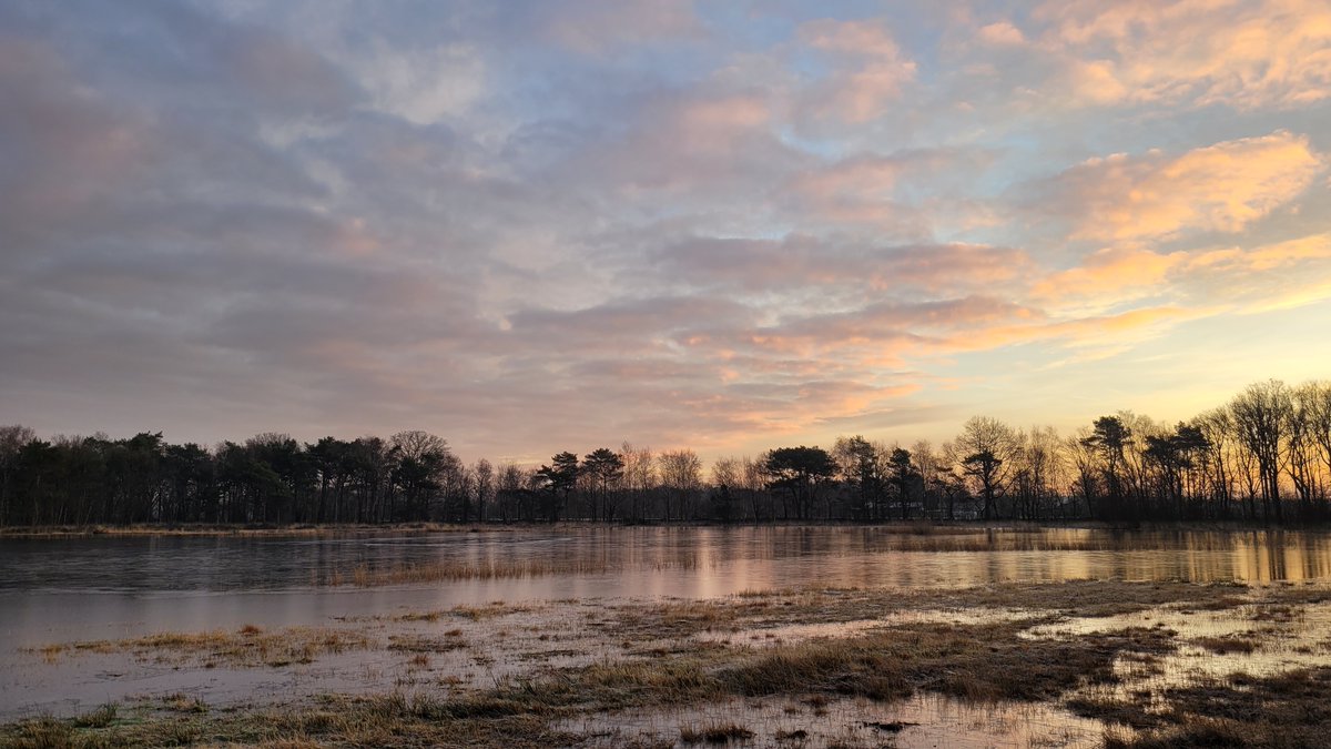 TaxFrancien's tweet photo. Mooie zonsopkomst in Roosendaal @Weerplaza @weeronline  @BuienRadarNL @HartvNL @weermanrobert @_weernl @Het_weer_NL @omroepbrabant @WNLVandaag https://t.co/zLYyTkBVeu