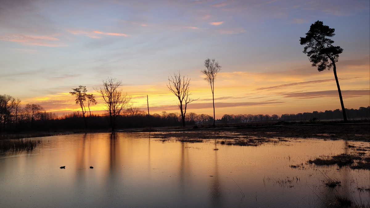 TaxFrancien's tweet photo. Mooie zonsopkomst Roosendaal @WNLVandaag @Weerplaza @weeronline @_weernl @HartvNL @weermanrobert @weernos @omroepbrabant https://t.co/6kCEtxRqWn