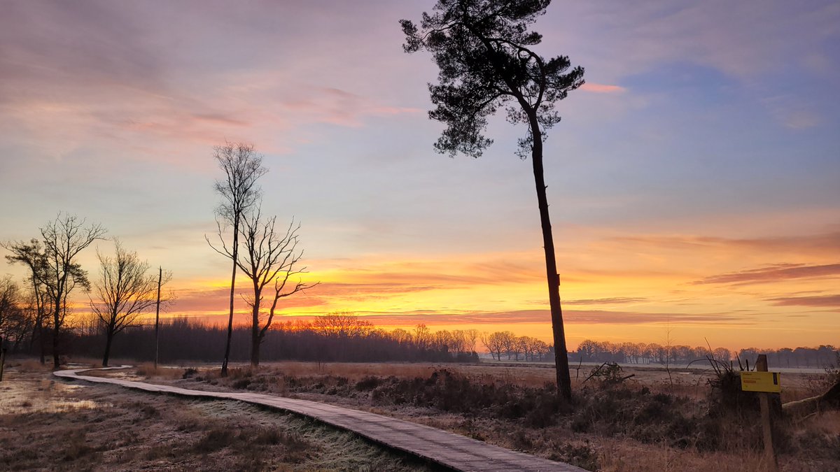 TaxFrancien's tweet photo. Mooie zonsopkomst Roosendaal @WNLVandaag @Weerplaza @weeronline @_weernl @HartvNL @weermanrobert @weernos @omroepbrabant https://t.co/6kCEtxRqWn