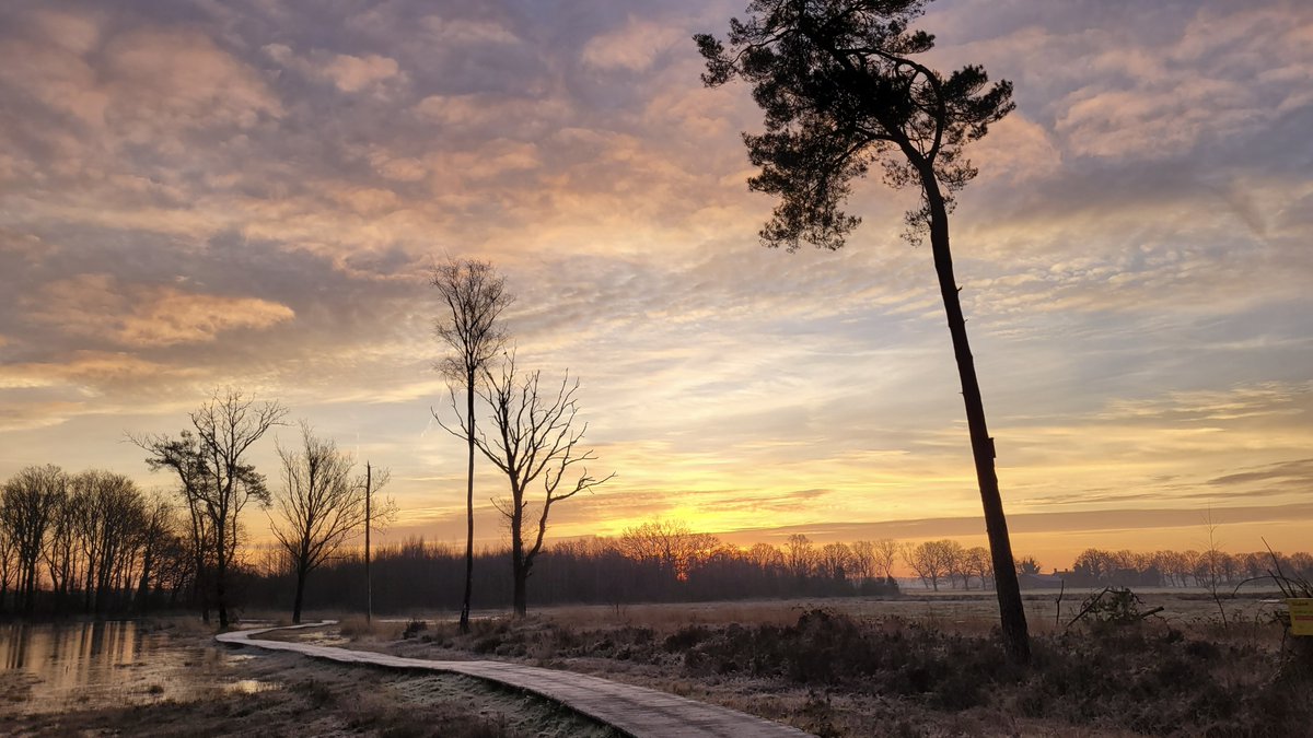 TaxFrancien's tweet photo. Mooie zonsopkomst Roosendaal @WNLVandaag @Weerplaza @weeronline @_weernl @HartvNL @weermanrobert @weernos @omroepbrabant https://t.co/6kCEtxRqWn