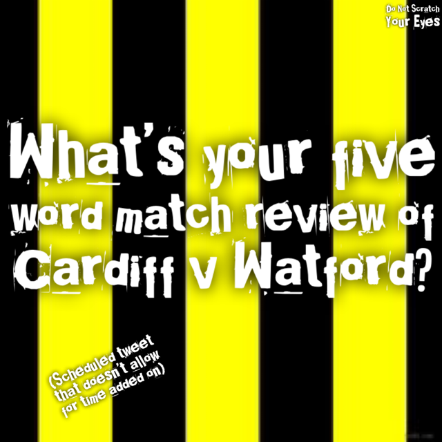 Do Not Scratch Your Eyes Watford FC Podcast 🐝 tweet media