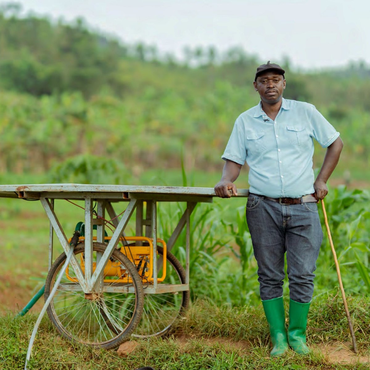 sunlightpump's tweet photo. 💡 Did you know you can use a trolley to move you solar pump and panel?   

You can find full testimonial of this farmer recorded by @SEforALLorg here: https://t.co/FT7zguqF5j   

Many thanks to them for sharing this farmer's experience with our solar pump! https://t.co/EgQlu7cbaY