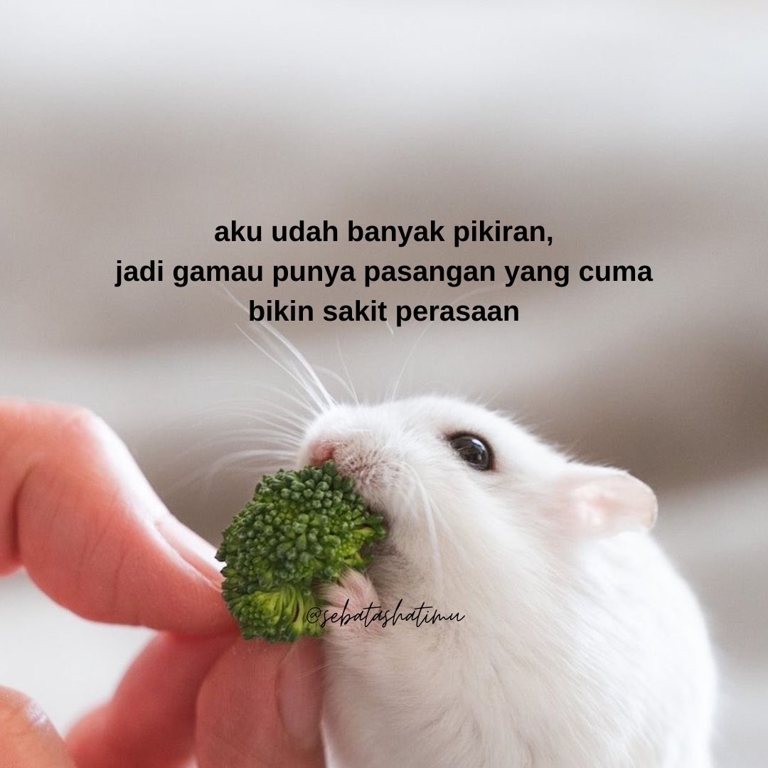 sebatashatimu's tweet image. udah banyak pikiran banget!