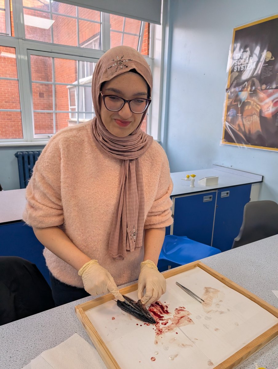 HHS Sixth Form tweet media