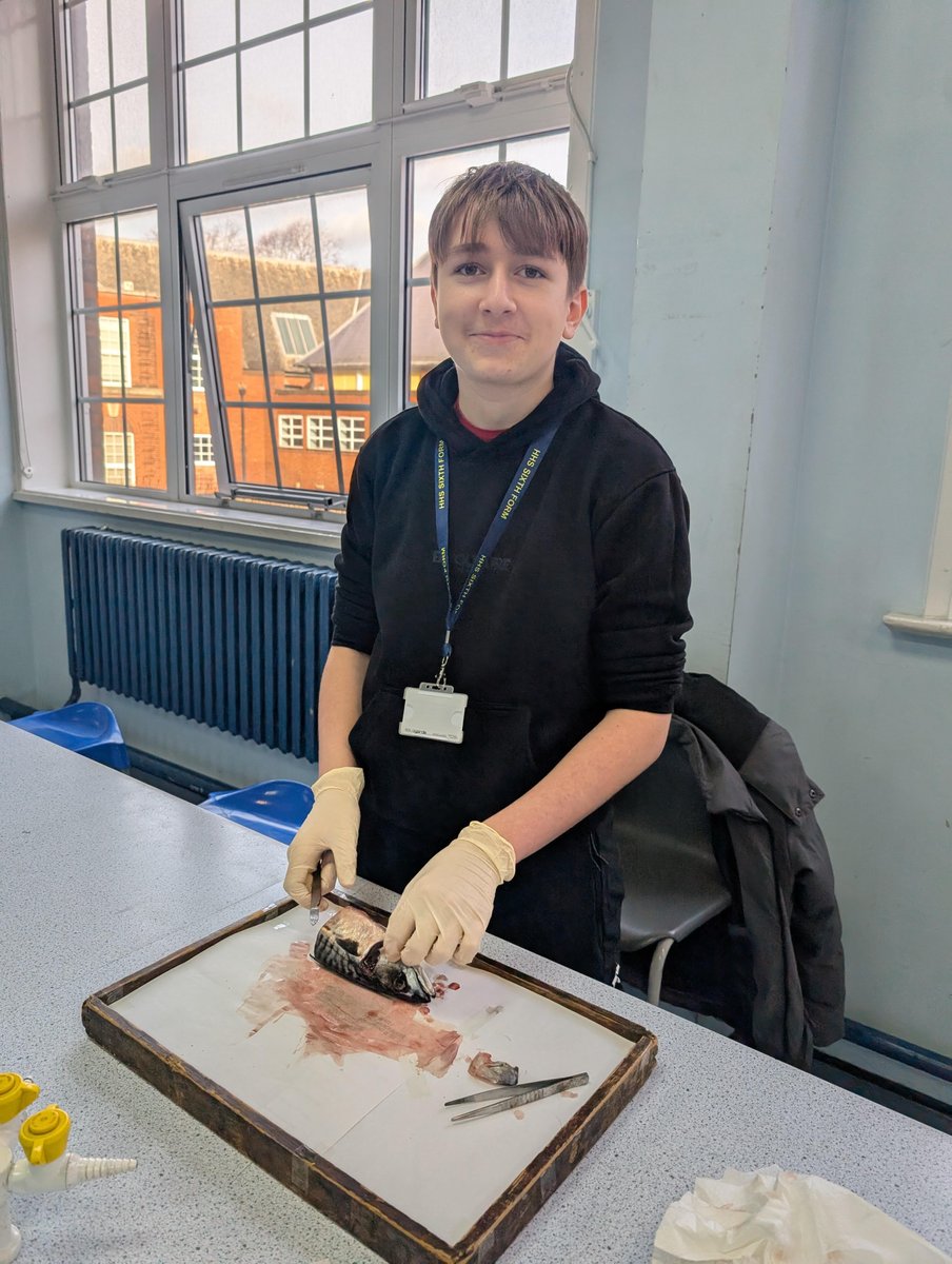 HHS Sixth Form tweet media