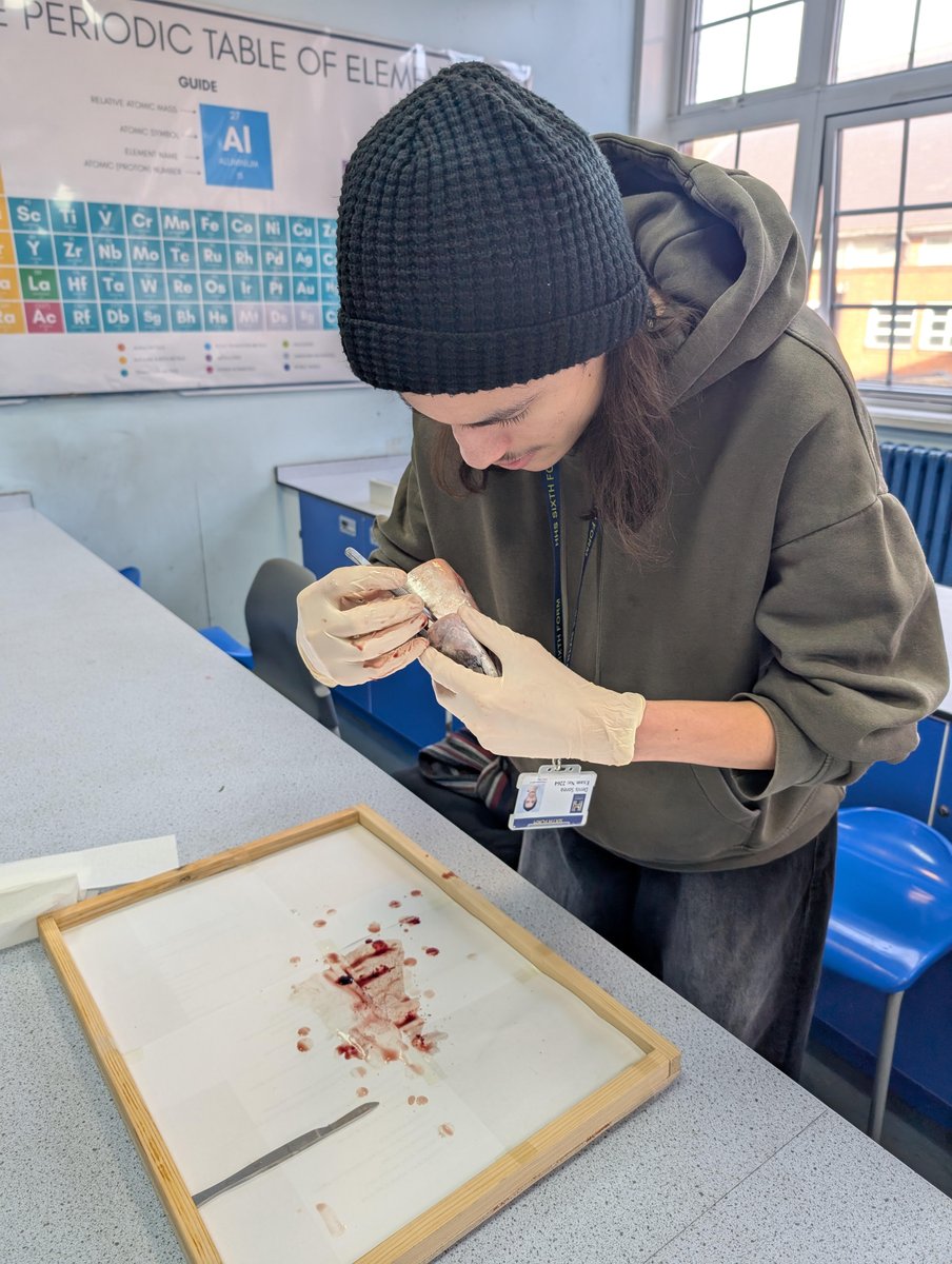 HHS Sixth Form tweet media