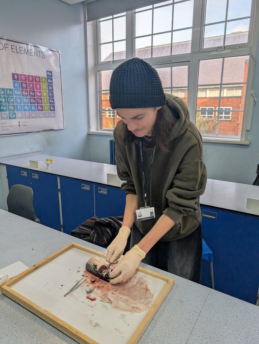 HHS Sixth Form tweet media