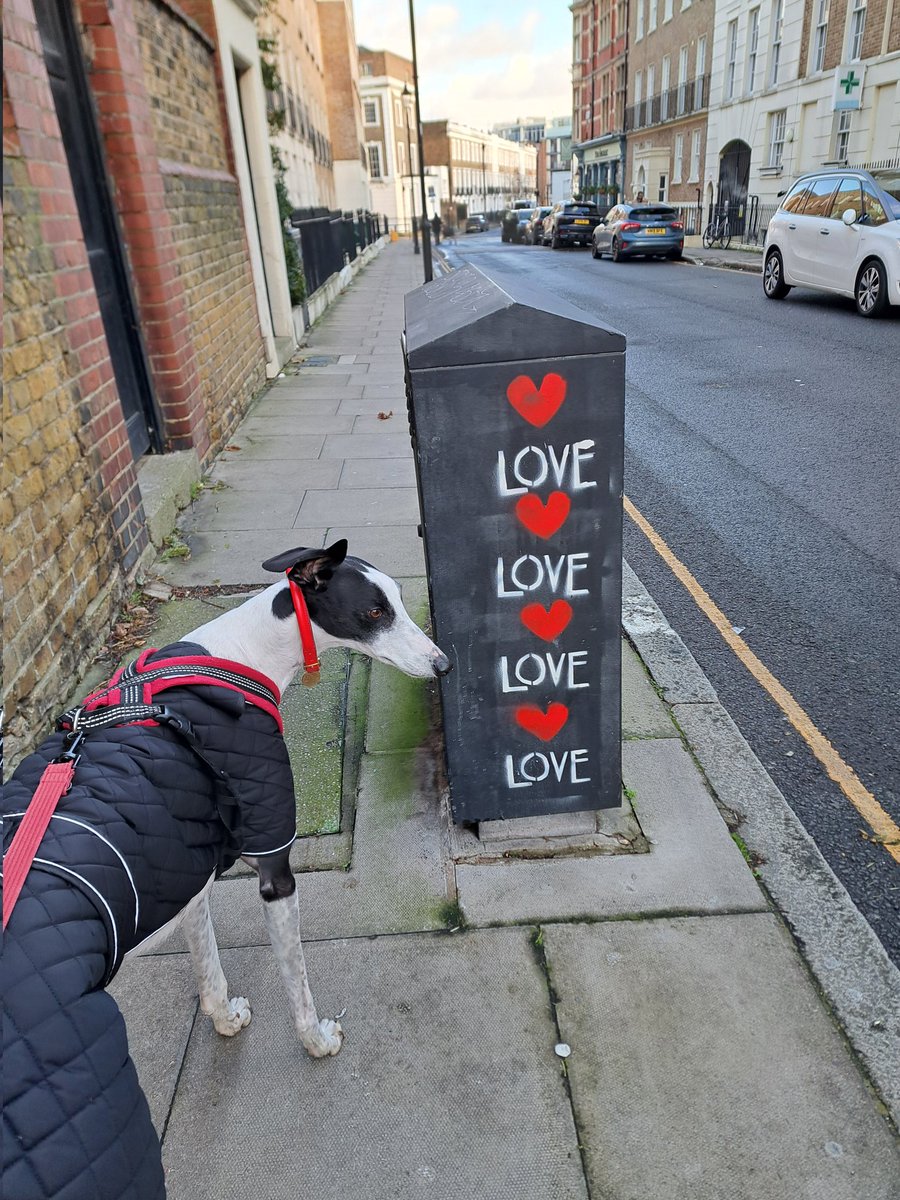 🕊🪢💚 Warrior Wench Paddystinian🍉 tweet media