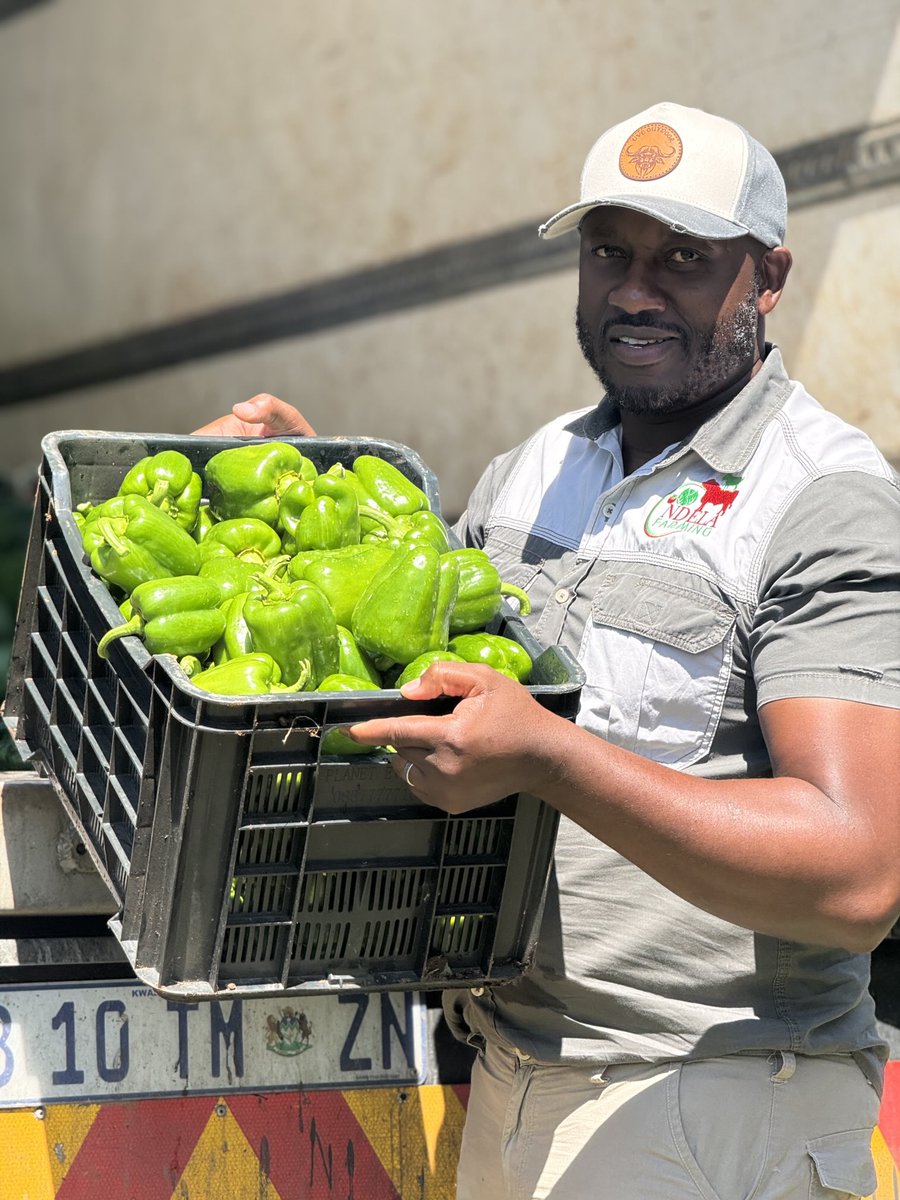 ndela farming tweet media