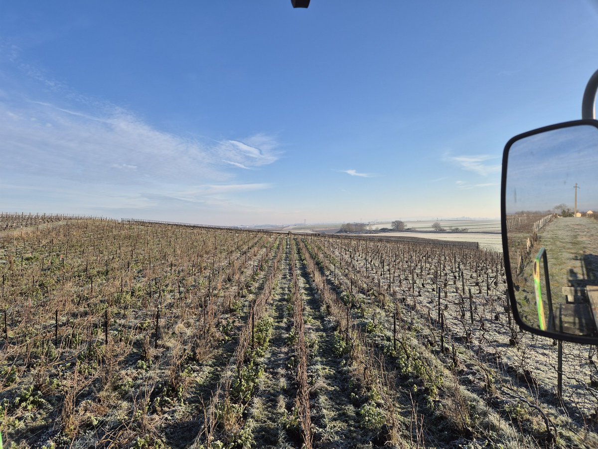 benoit51390's tweet photo. Fini pour #Vrigny et #Ormes, il ne reste plus que le secteur #ValleeDelArdre .
Vu les pentes (fortes) et l'orientation (sud, sud-est) pas sûr que que le sol soit encore gelé à cause du soleil ! 🤷♂️
#Champagne https://t.co/cOjej1LbRL