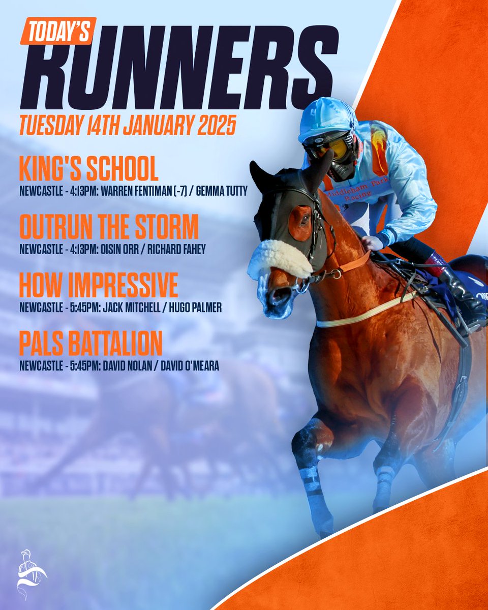 MprUpdates's tweet image. All eyes are on @NewcastleRaces today as we have four runners on the card, including the hat-trick seeking PALS BATTALION. Best of luck to all owners! #TeamMPR