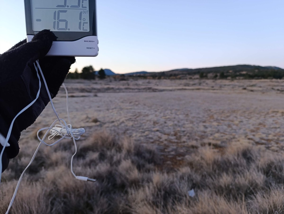 El nostre soci Pablo Solsona (<a href="/XodosMeteo/">Pablo Solsona</a>) ha comprovat que este matí al Pla de Vistabella (l'Alt Maestrat) la temperatura era de -16 °C.