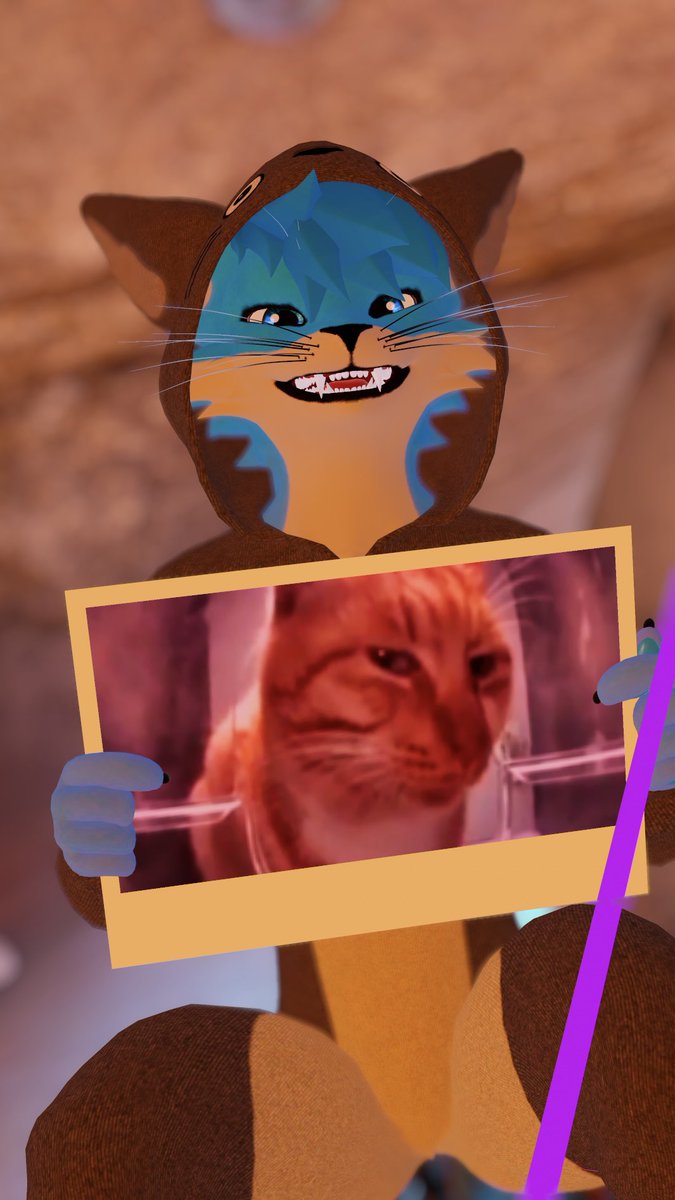 itsnyvo's tweet photo. Look at this funny cat picture I found. It’s funny, right? Right..? https://t.co/DA2rqzEhx1