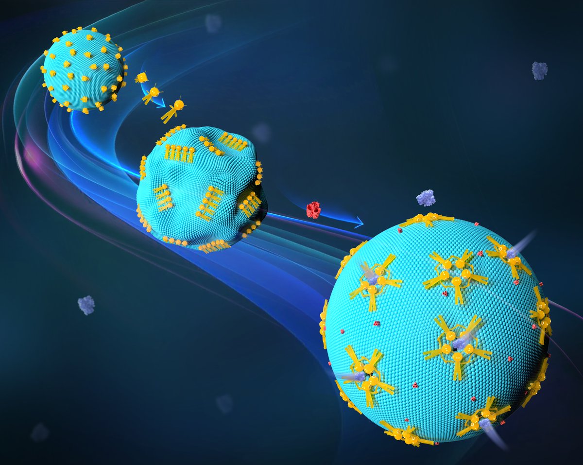 BIOspektrum (@spektrum_bio) on Twitter photo Wissenschaftler*innen der <a href="/Uni_Stuttgart/">Uni Stuttgart</a> haben eine synthetisch-biologische Toolbox für die Manipulation von Zellen entwickelt, die den Transport von großen therapeutischen Molekülen in einzelne Zellen ermöglicht.
nature.com/articles/s4156…
Bild: Universität Stuttgart Wissenschaftler*innen der <a href="/Uni_Stuttgart/">Uni Stuttgart</a> haben eine synthetisch-biologische Toolbox für die Manipulation von Zellen entwickelt, die den Transport von großen therapeutischen Molekülen in einzelne Zellen ermöglicht.
nature.com/articles/s4156…
Bild: Universität Stuttgart