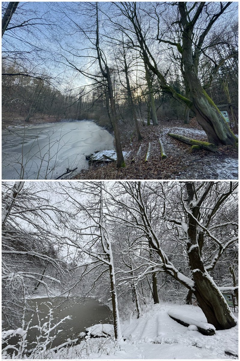 BMWrony's tweet photo. One week later... Winter and snow finally came to Poland in January.

https://t.co/XmU7pdc8ys

#poland #łódź #lodz #łagiewniki #lasłagiewnicki #łagiewnikiforest #naturephotography #nature #naturelovers #peacefulnature #iphoneonly #iphonephoto #iphonephotography #shotoniphone https://t.co/8P1zB9RAio