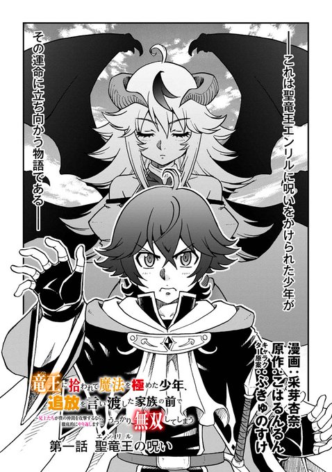 ☆拳王☆ 竜王に拾われて魔法を極めた少年、追放を言い渡した家族の前でうっか 公式-竜王に拾われて魔法を極めた少年、追放を言い渡した家族の
